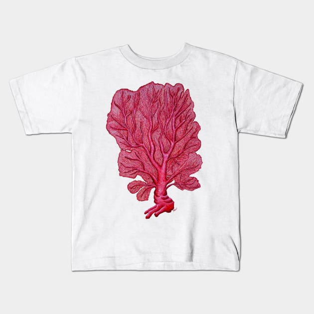 Coral Venus red seafan Kids T-Shirt by chloeyzoard